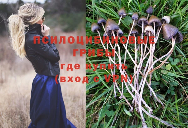 apvp Беломорск