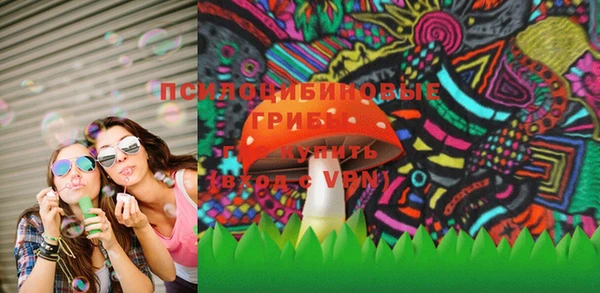 PSILOCYBIN Богородск