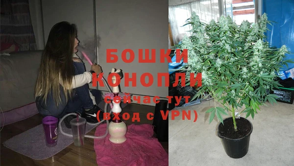 амф Белоозёрский