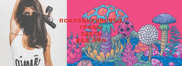 амф Белоозёрский