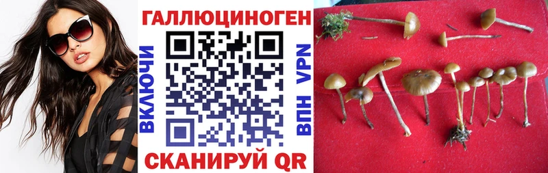 Псилоцибиновые грибы прущие грибы Мариинский Посад